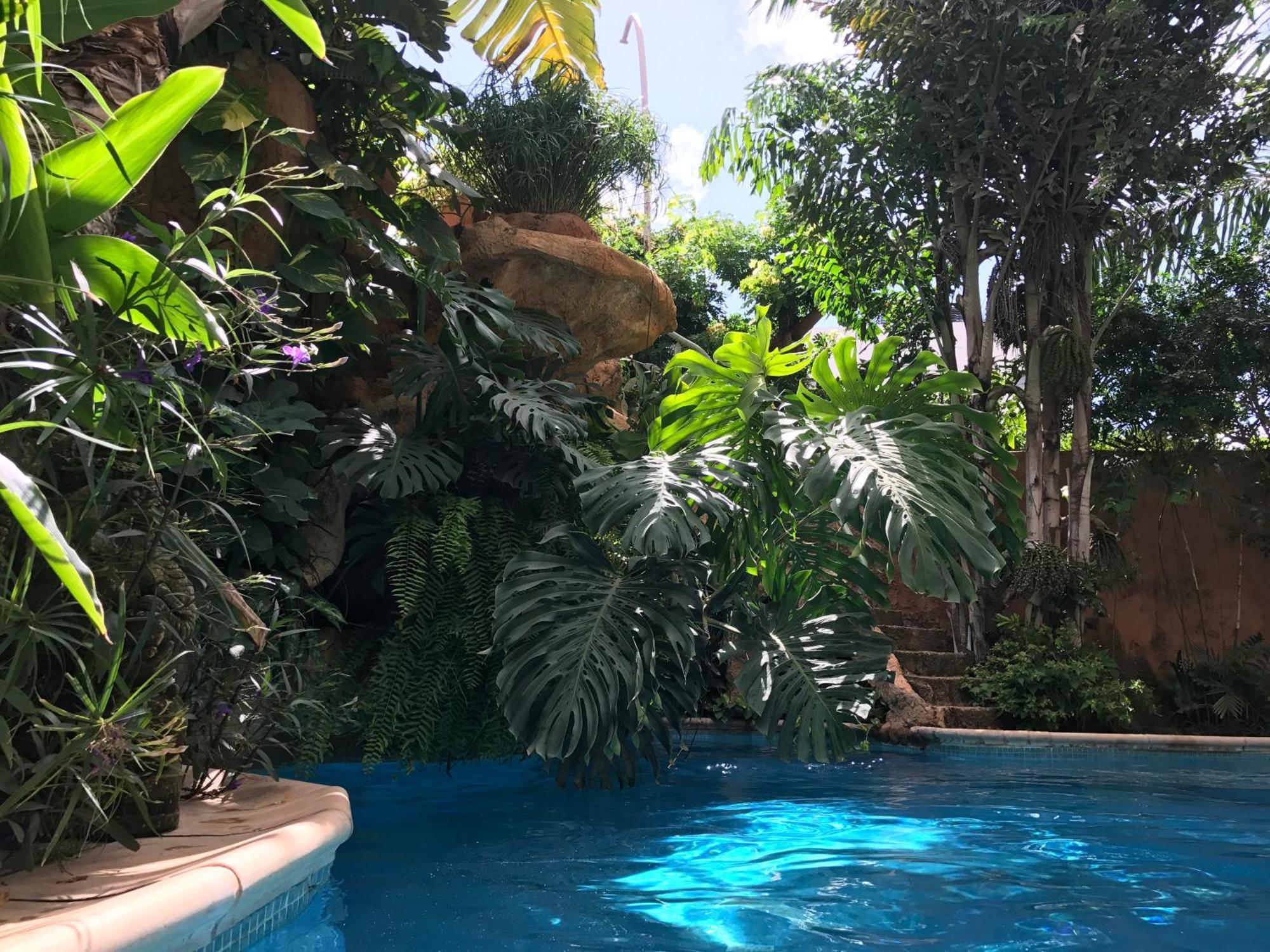 Tropical Oasis Apartment Ouakam Exterior photo